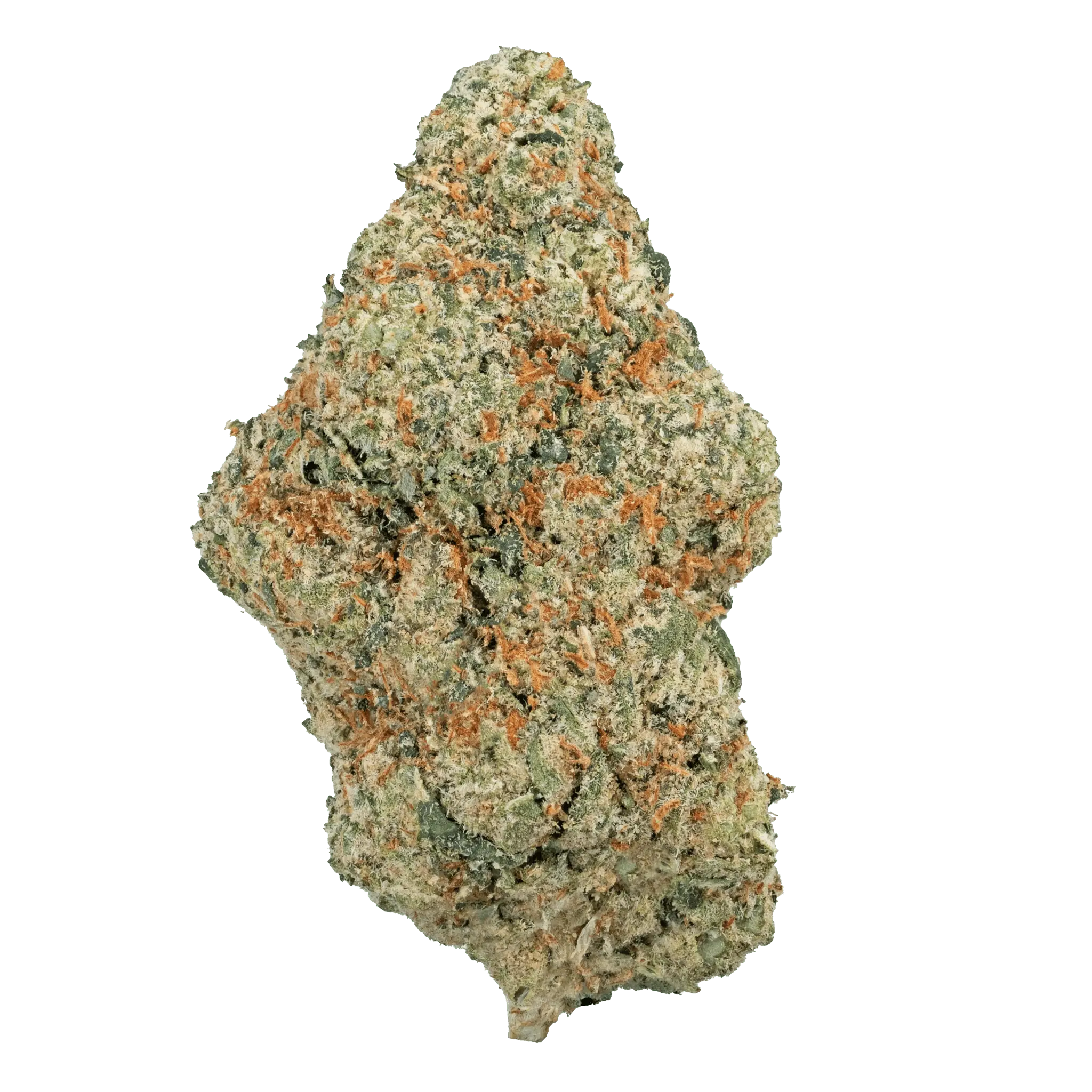 AppleFritter