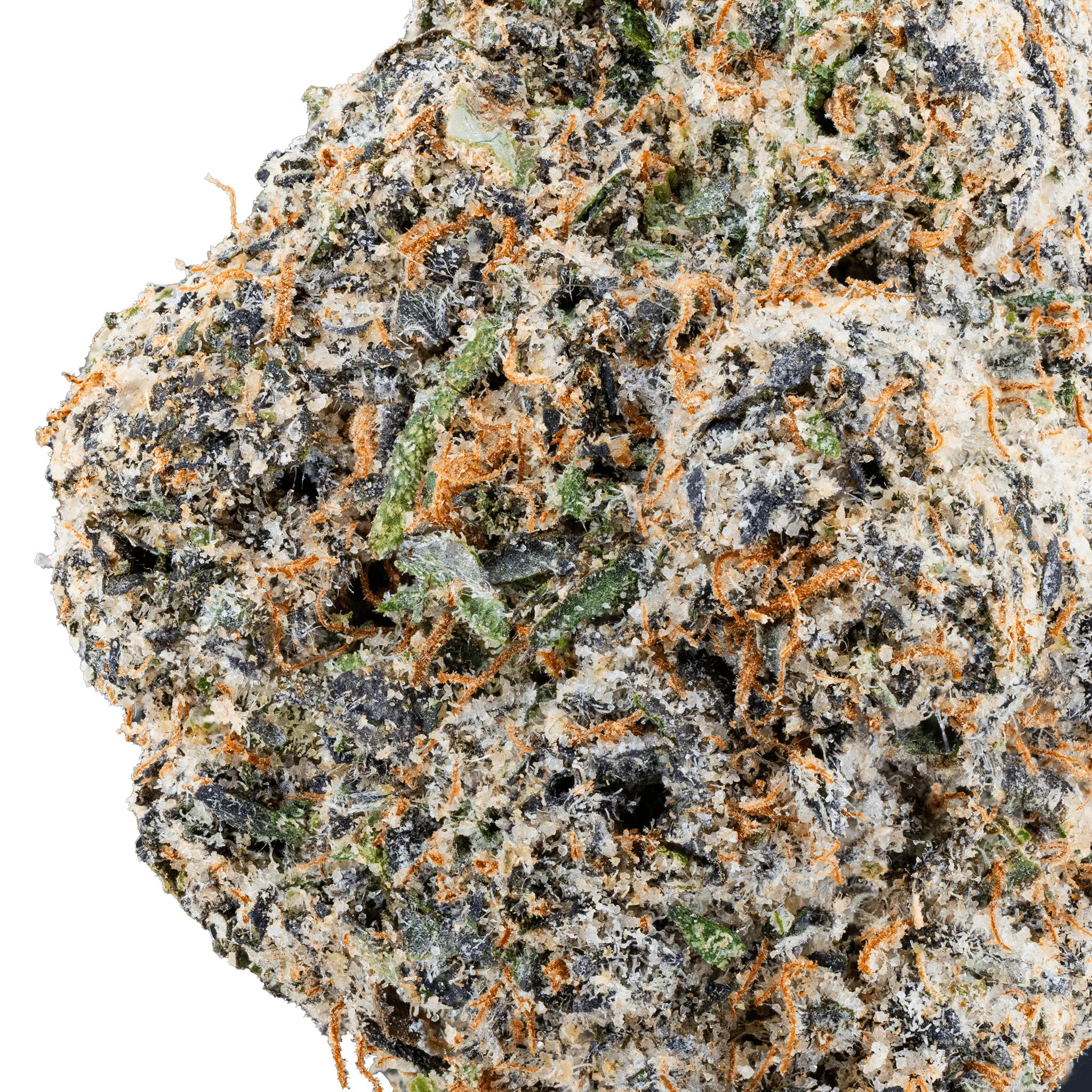 DSC00565hca-sativa-flower-space-junky