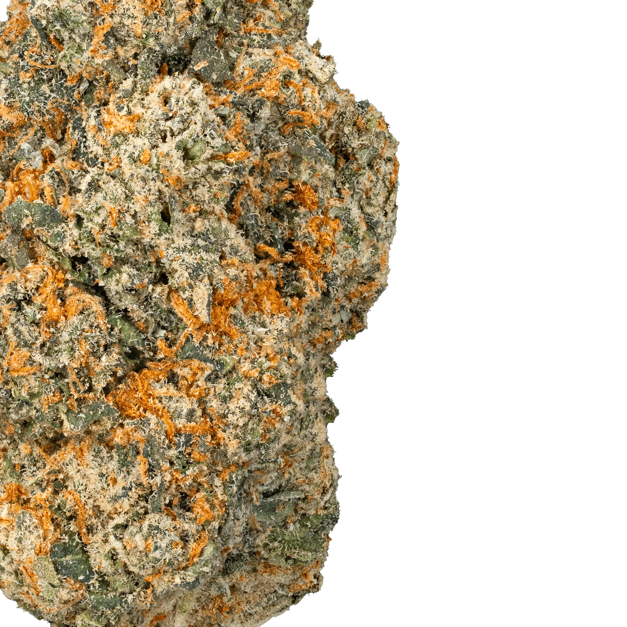 DSC005771orange-push-pop-strain