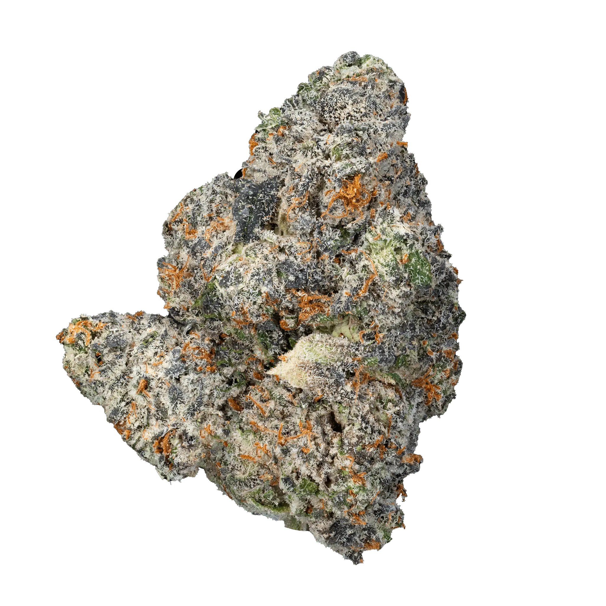 DSC00791hca-sativa-flower-space-junky