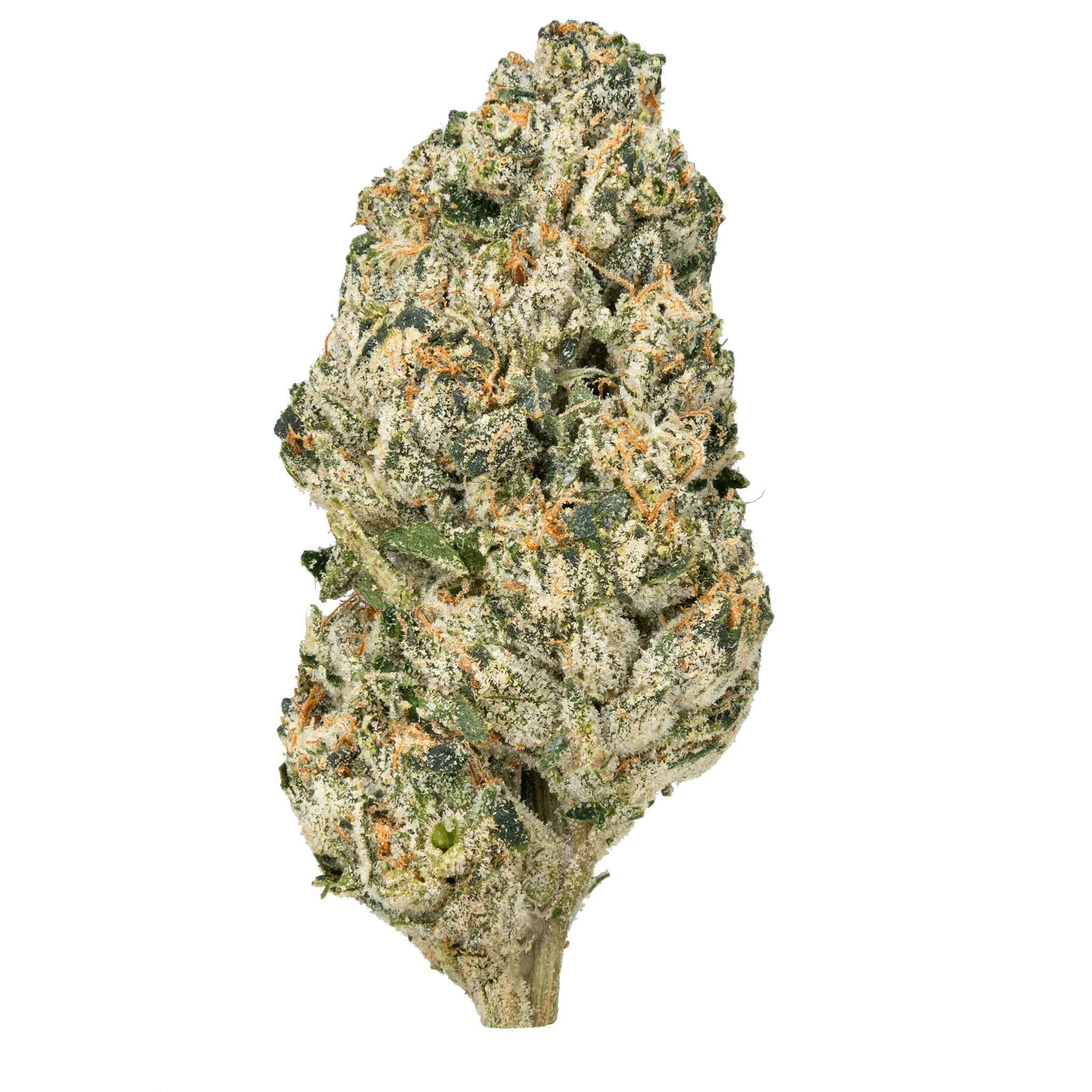 Bulk MixLight THCa Flower