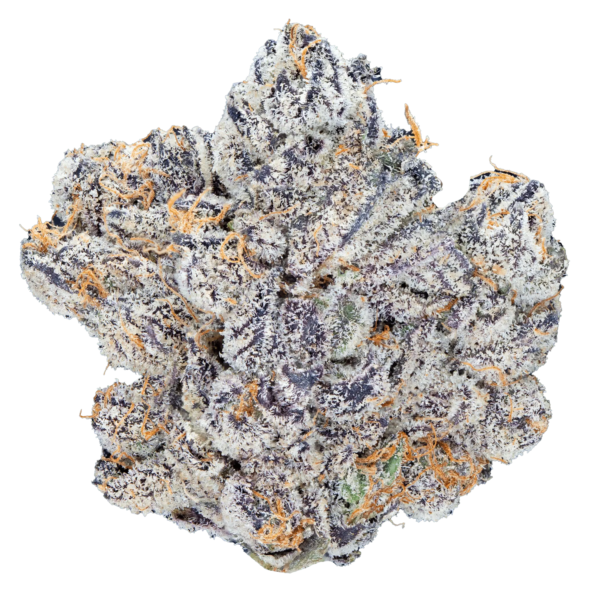 Permanent_Marker_-_THCa_Flower1