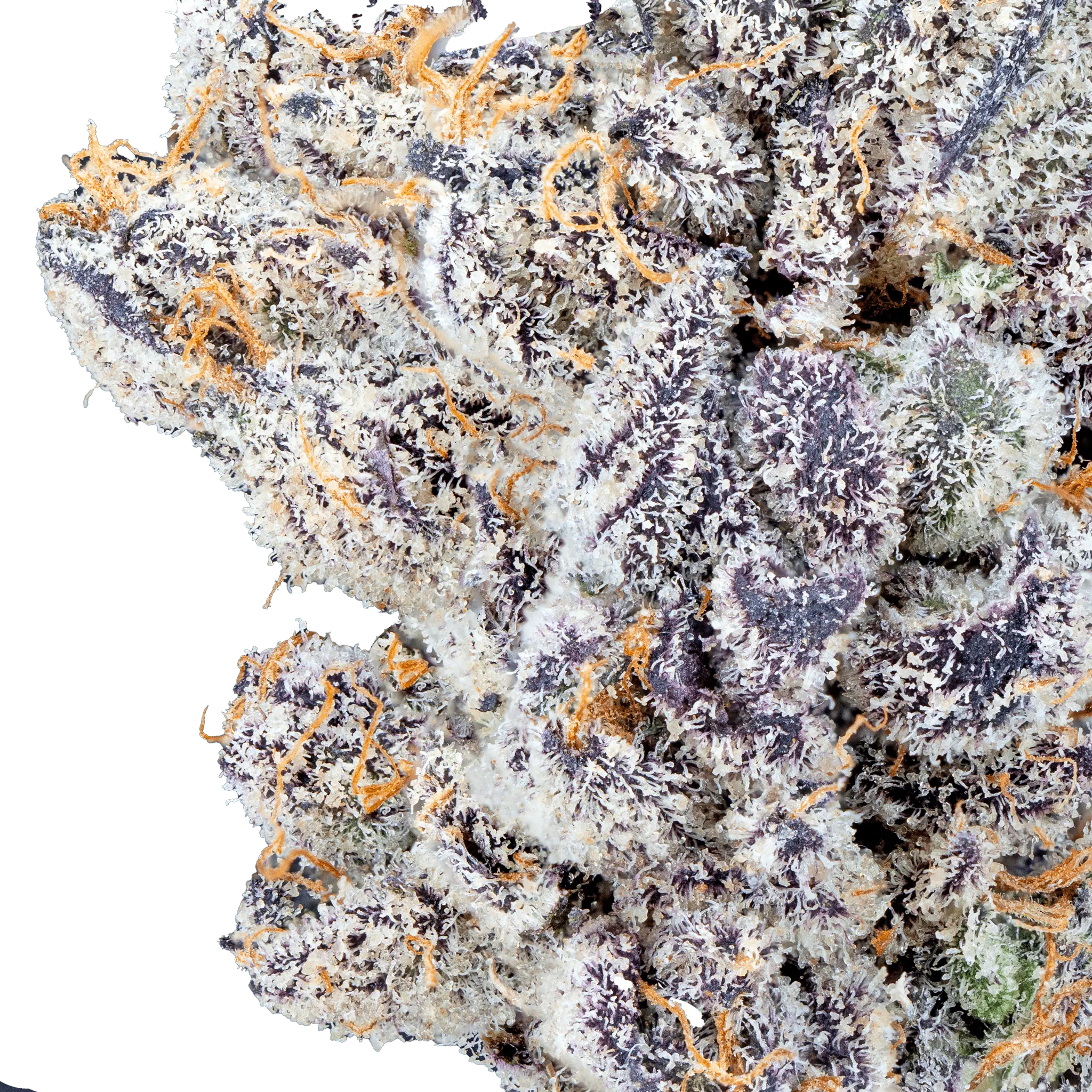 Permanent_Marker_-_THCa_Flower2