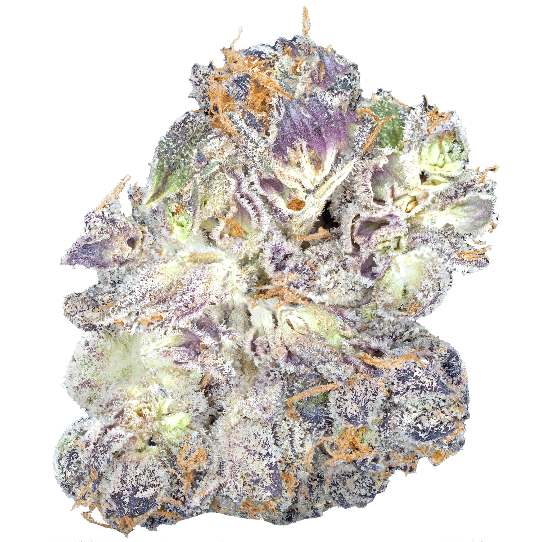 Permanent_Marker_-_THCa_Flower3