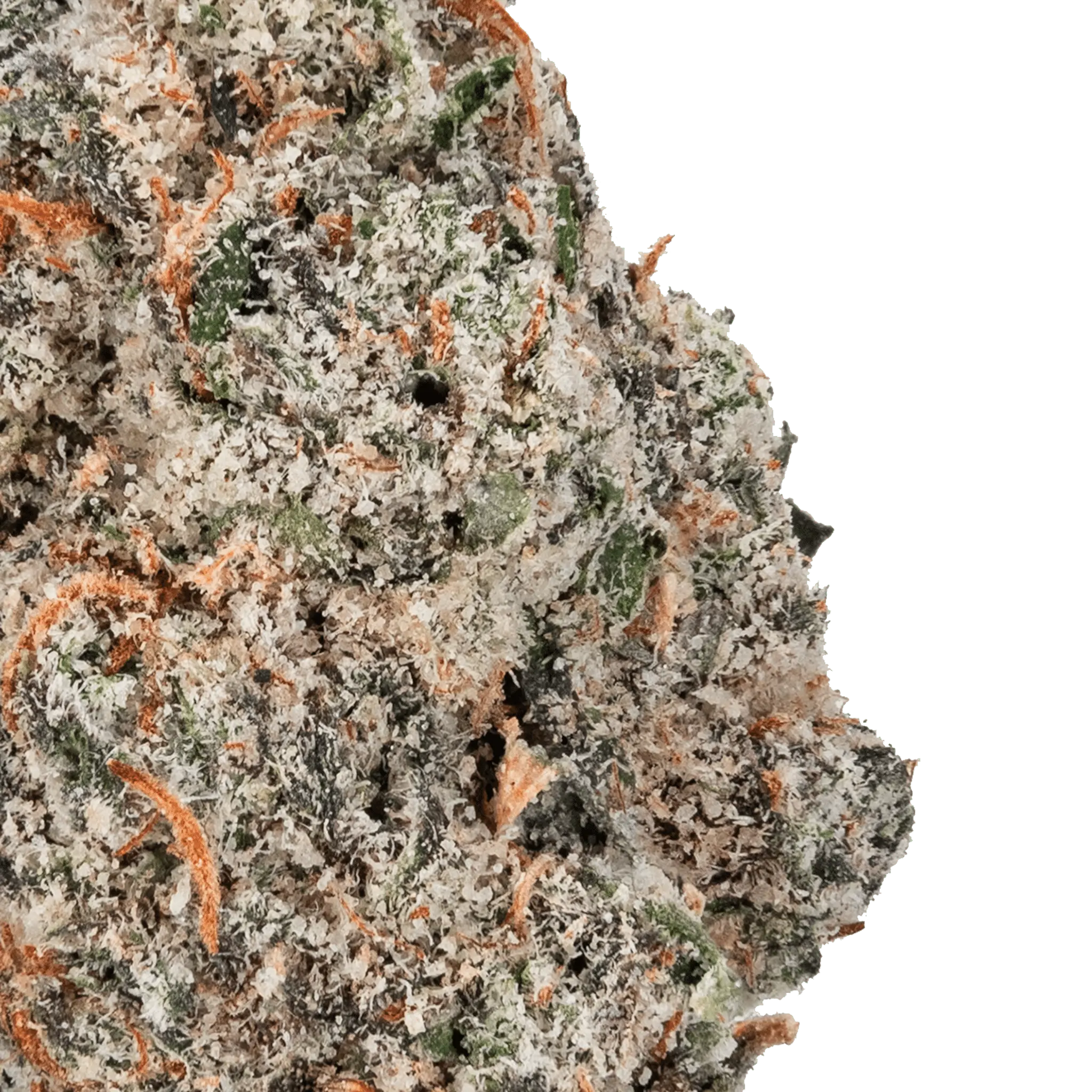 Permanent_Marker_-_THCa_Flower8