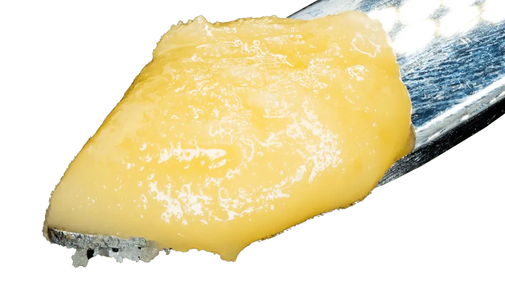 chauffeur-thca-live-hash-rosin