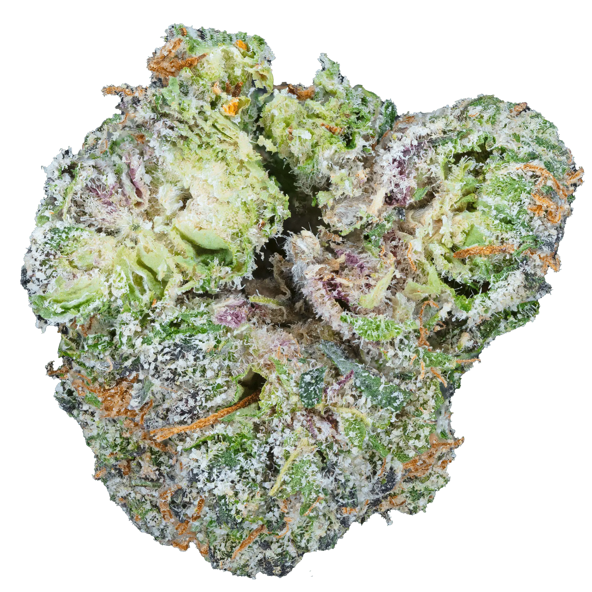 cherry-zashimi-thca-flower2