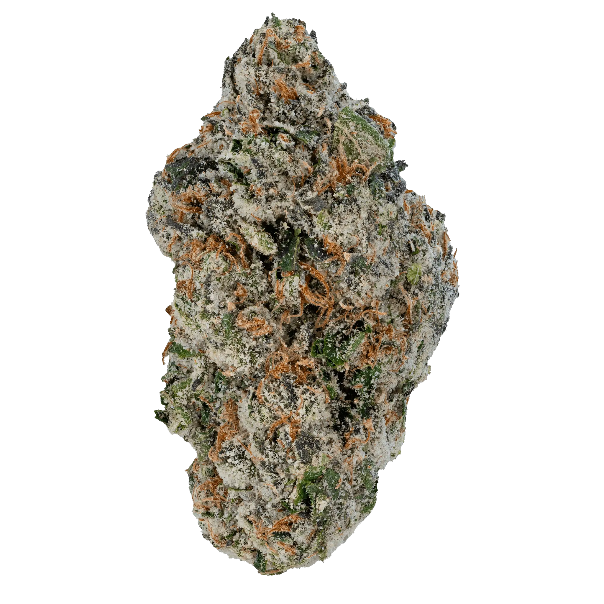 cherry-zashimi-thca-flower4