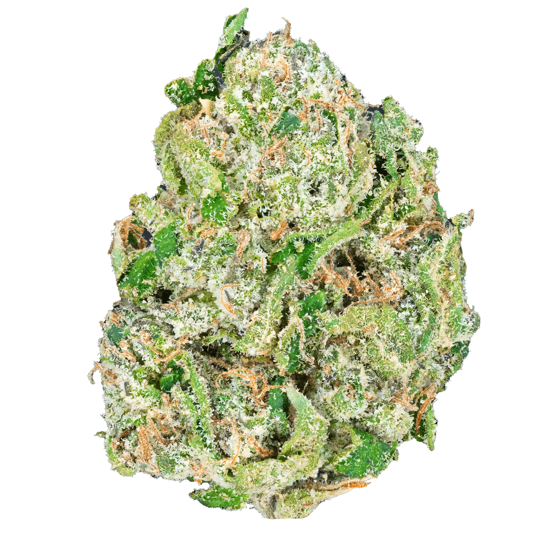 super-exotic-smalls4