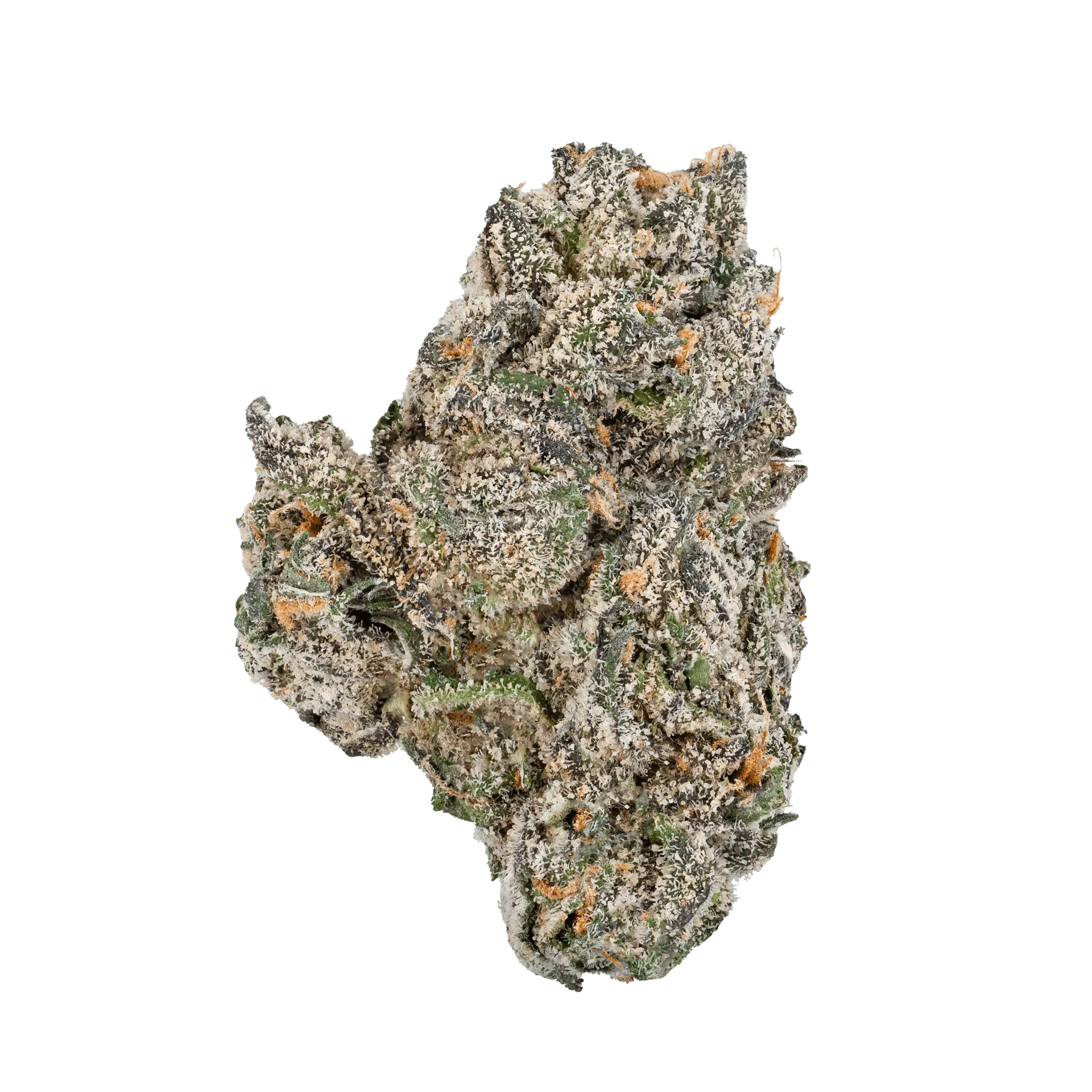 white-truffle-thca-flower6