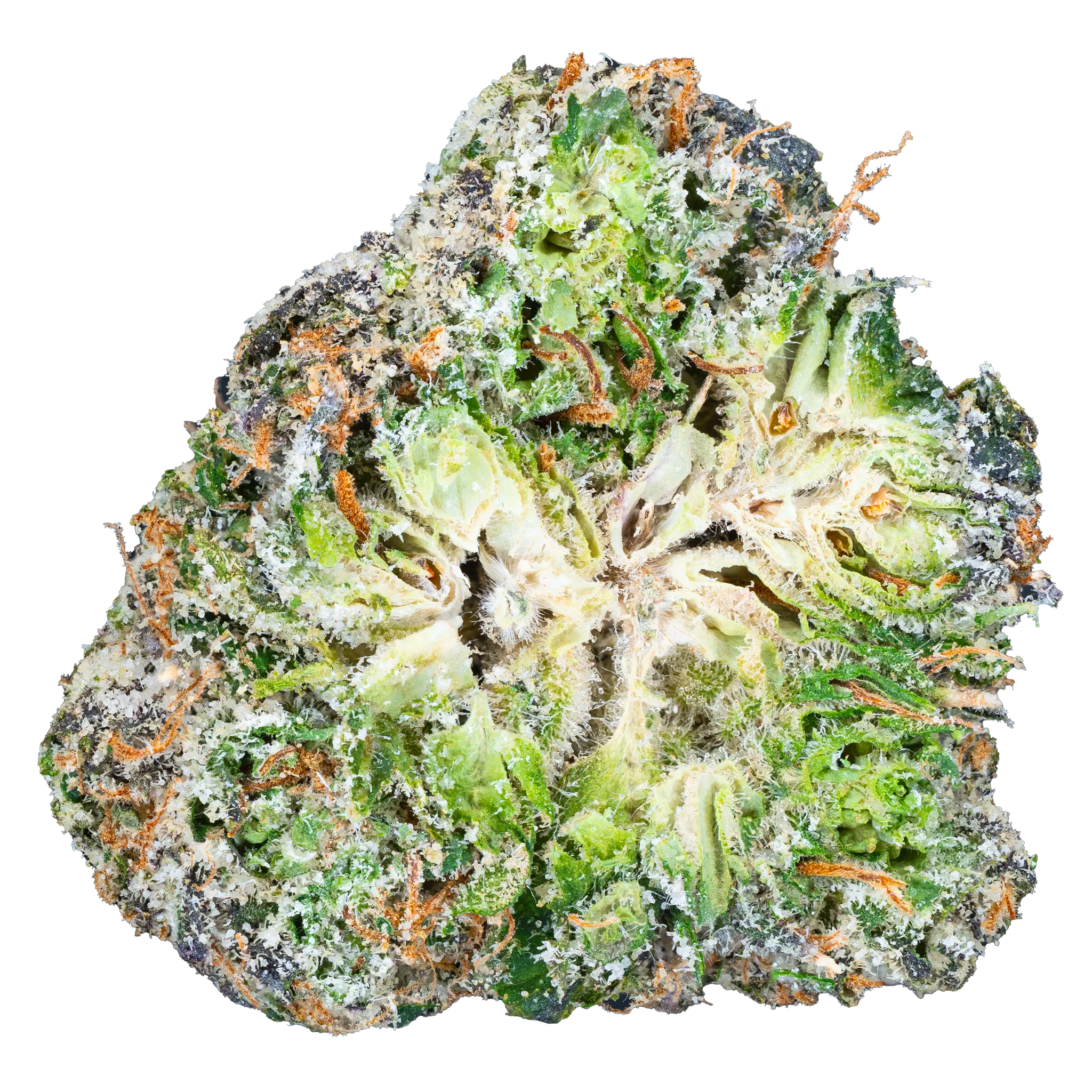 10a6