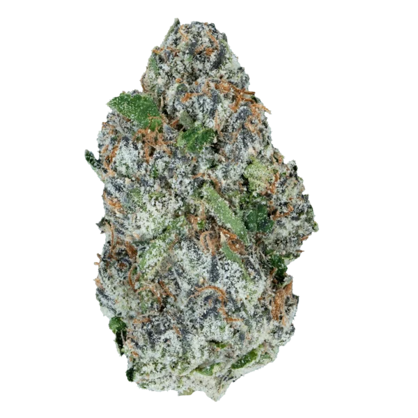 xxxxx Lil Baby - Alien ET THCa